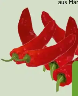Edeka Xpress Roter Spitzpaprika Angebot