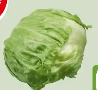 Edeka Xpress Gut & Günstig Eisbergsalat Angebot