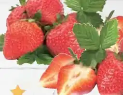 E-Center Erdbeeren Angebot