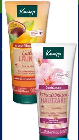 Budni Kneipp Pflegedusche Angebot