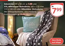 Globus Dekokissen Angebot