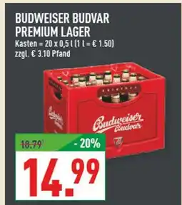 Marktkauf Budweiser budvar premium lager Angebot