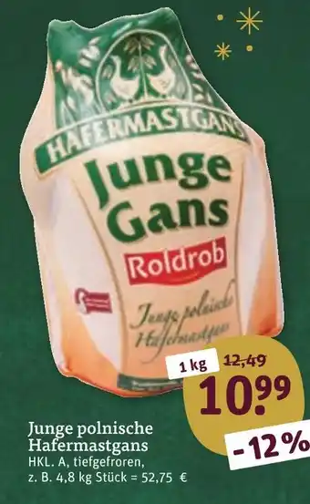 Roldrob junge polnische hafermastgans