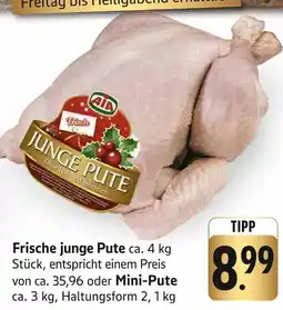 Edeka Aia junge pute Angebot