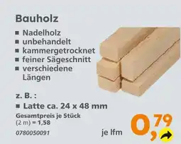 Globus Baumarkt Latte Angebot