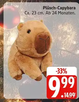 Marktkauf Plüsch-capybara Angebot