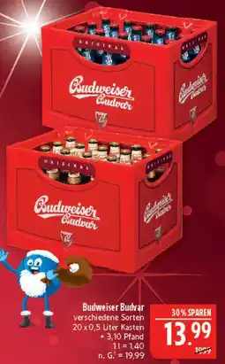 Marktkauf Budweiser budvar Angebot