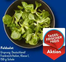 Aldi Süd Feldsalat Angebot