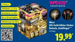 Lidl Weco XXL-Gold-Glitter-Fächer Batterie „Goldfinger" Angebot