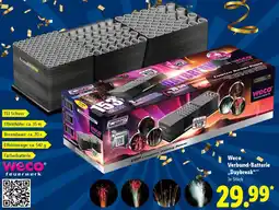 Lidl Weco Verbund-Batterie „Daybreak" Angebot