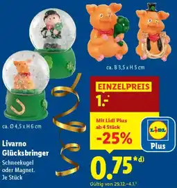 Lidl Livarno Glücksbringer Angebot