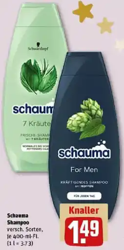 REWE Schauma Shampoo Angebot