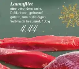 Edeka Lammfilet Angebot