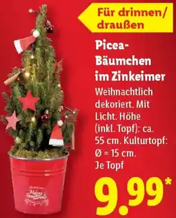 Lidl Picea Bäumchen im Zinkeimer Angebot