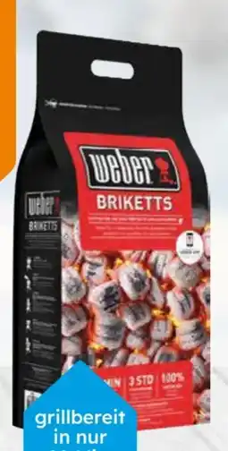 Globus Baumarkt Weber Grillbriketts Angebot