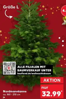 Kaufland Nordmanntanne Angebot
