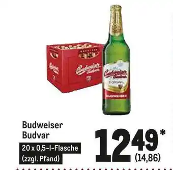 METRO Budweiser Budvar Angebot