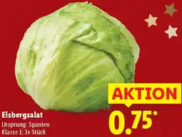 Lidl Eisbergsalat Angebot