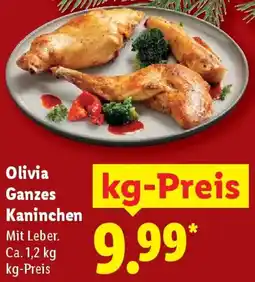 Lidl Olivia Ganzes Kaninchen Angebot