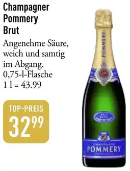 Galeria Markthalle Champagner Pommery Brut Angebot