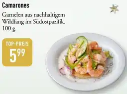 Galeria Markthalle Camarones Angebot