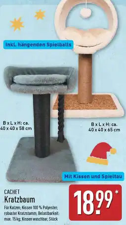 Aldi Nord CACHET Kratzbaum Angebot