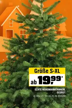 OBI Echte nordmanntannen, gesägt Angebot