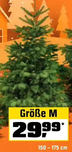 OBI Echte nordmanntannen, gesägt Angebot