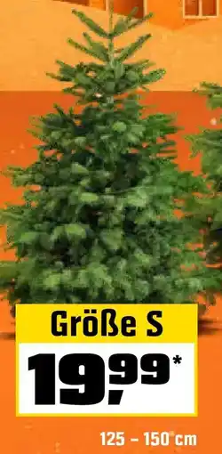 OBI Echte nordmanntannen, gesägt Angebot