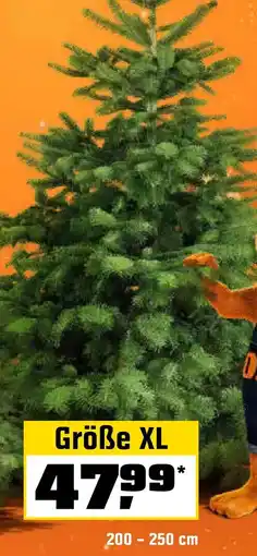 OBI Echte nordmanntannen, gesägt Angebot