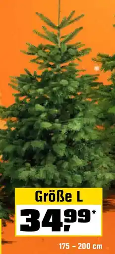 OBI Echte nordmanntannen, gesägt Angebot