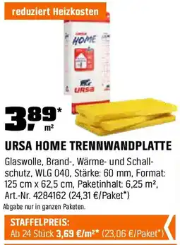 OBI Ursa home trennwandplatte Angebot