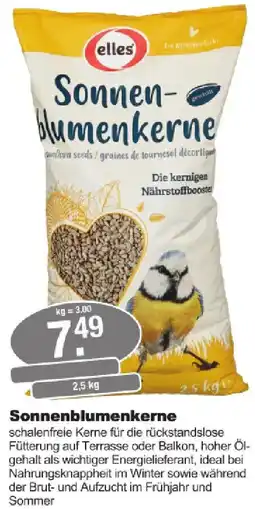 Mobau Bauzentrum Toka elles Sonnenblumenkerne Angebot