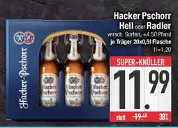 E-Center Hacker Pschorr Hell oder Radler Angebot
