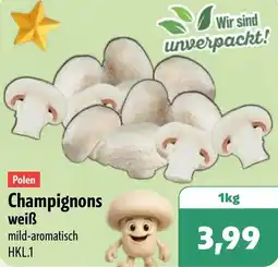 Aktiv Irma Polen Champignons weiẞ Angebot