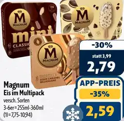 Aktiv Irma Magnum Eis im Multipack Angebot