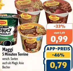 Aktiv Irma Maggi 5 Minuten Terrine Angebot