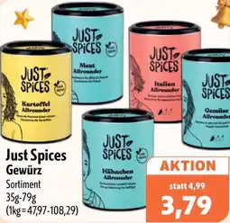 Aktiv Irma Just Spices Gewürz Angebot