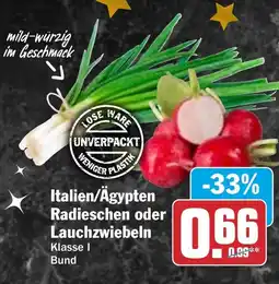 HIT Italien/Ägypten Radieschen oder Lauchzwiebeln Angebot