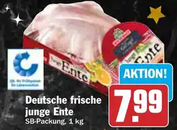 HIT Deutsche frische junge Ente Angebot