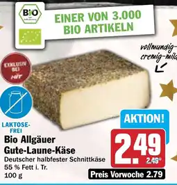 HIT Bio Allgäuer Gute Laune Käse Angebot