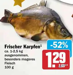 HIT Frischer Karpfen Angebot