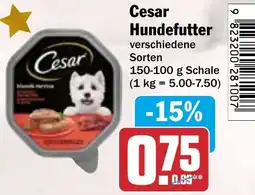 HIT Cesar Hundefutter Angebot