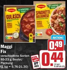 HIT Maggi Fix Angebot