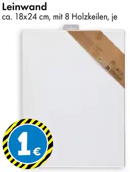 TEDi Leinwand Angebot