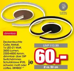 Möbel Martin Deckenleuchte Angebot