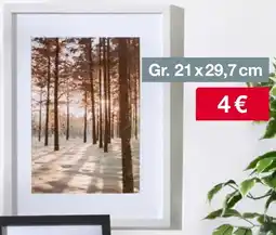 Woolworth Bilderrahmen Gr. 21x29,7 cm Angebot