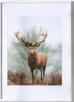 Woolworth Bilderrahmen Gr. 40x50 cm Angebot