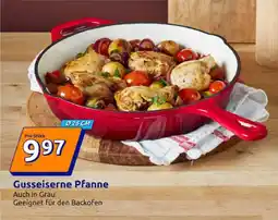 Action Gusseiserne Pfanne Angebot
