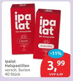 Budni Ipalat classic Angebot